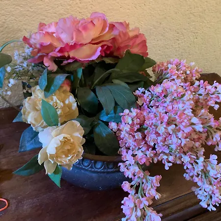 Апартаменты Grimaldi San Marco & Castello Венеция