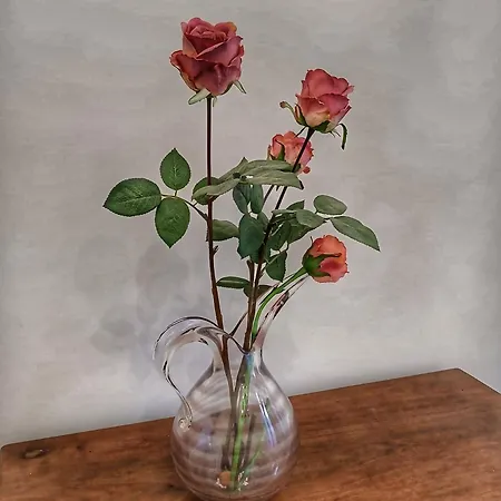 Апартаменты Grimaldi San Marco & Castello *